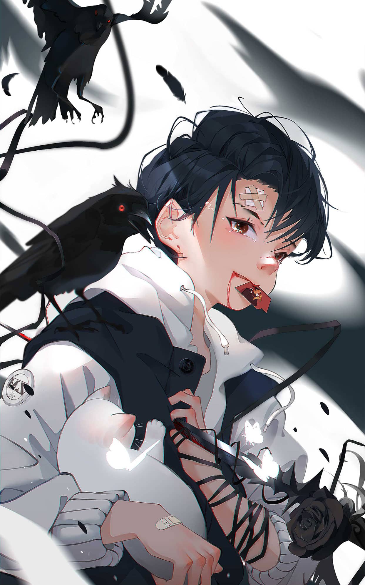 《少年与白猫》表情包&高清壁纸，支持导入微信和QQ作为表情包-表情包小岛