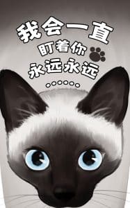 《我会一直盯着你》表情包&高清壁纸，支持导入微信和QQ作为表情包-表情包小岛