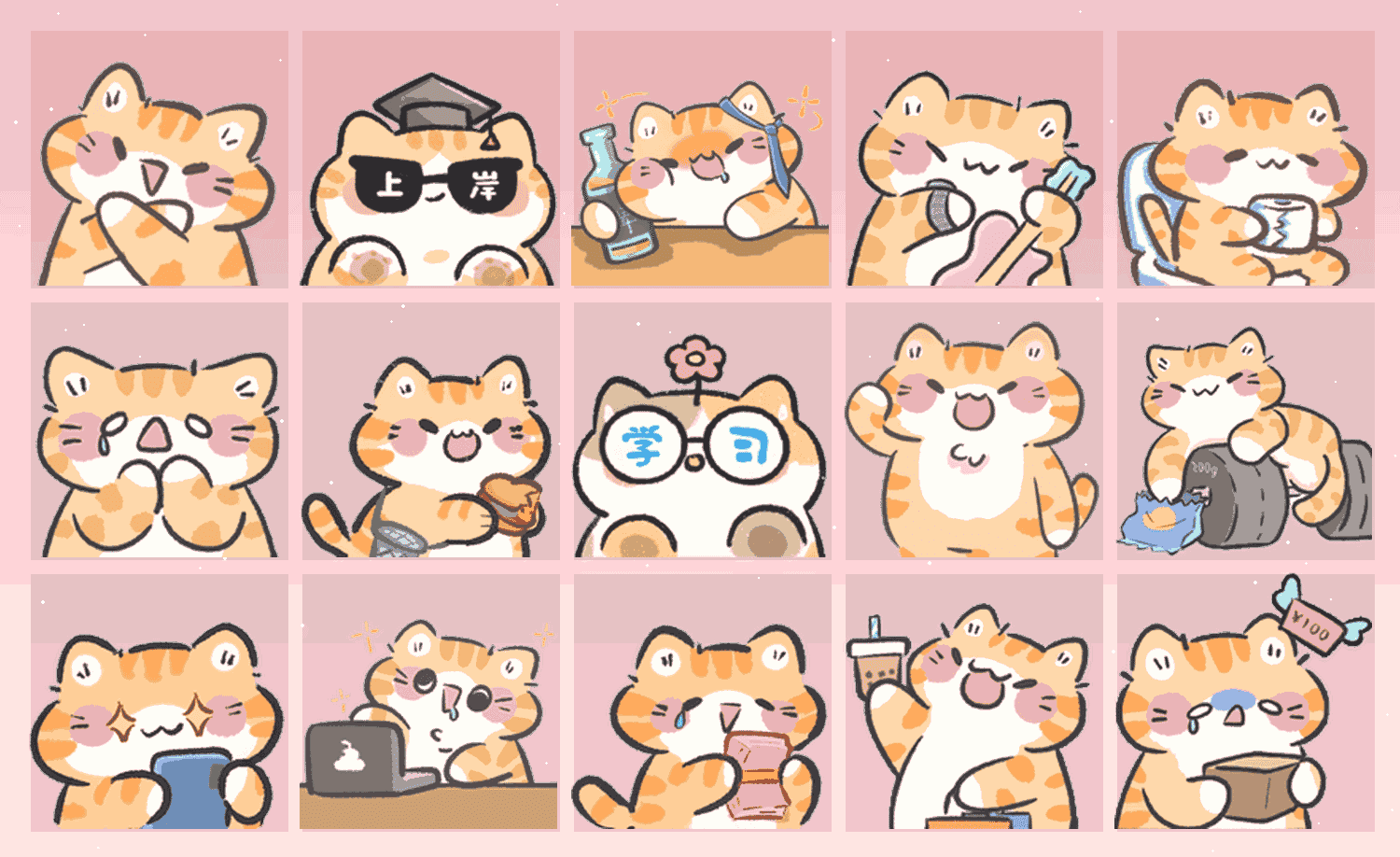猫猫劝学计划 表情包预览