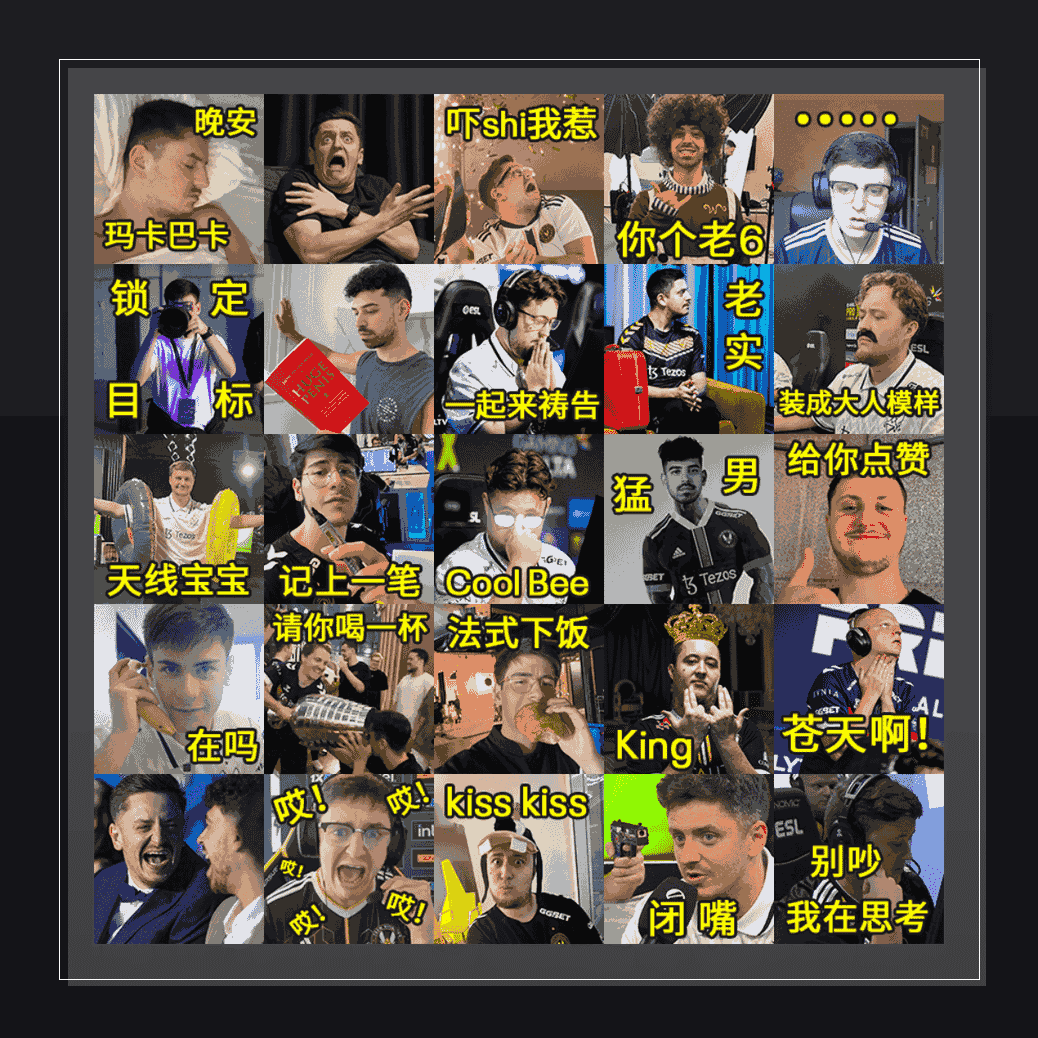 VITALITY MAJOR 收藏集  表情包预览