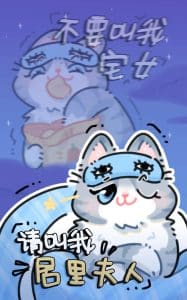 《摆烂小猫 宅家版》表情包&高清壁纸，支持导入微信和QQ作为表情包-表情包小岛
