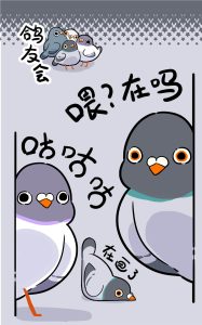 《鸽友会咕咕咕》表情包&高清壁纸，支持导入微信和QQ作为表情包-表情包小岛