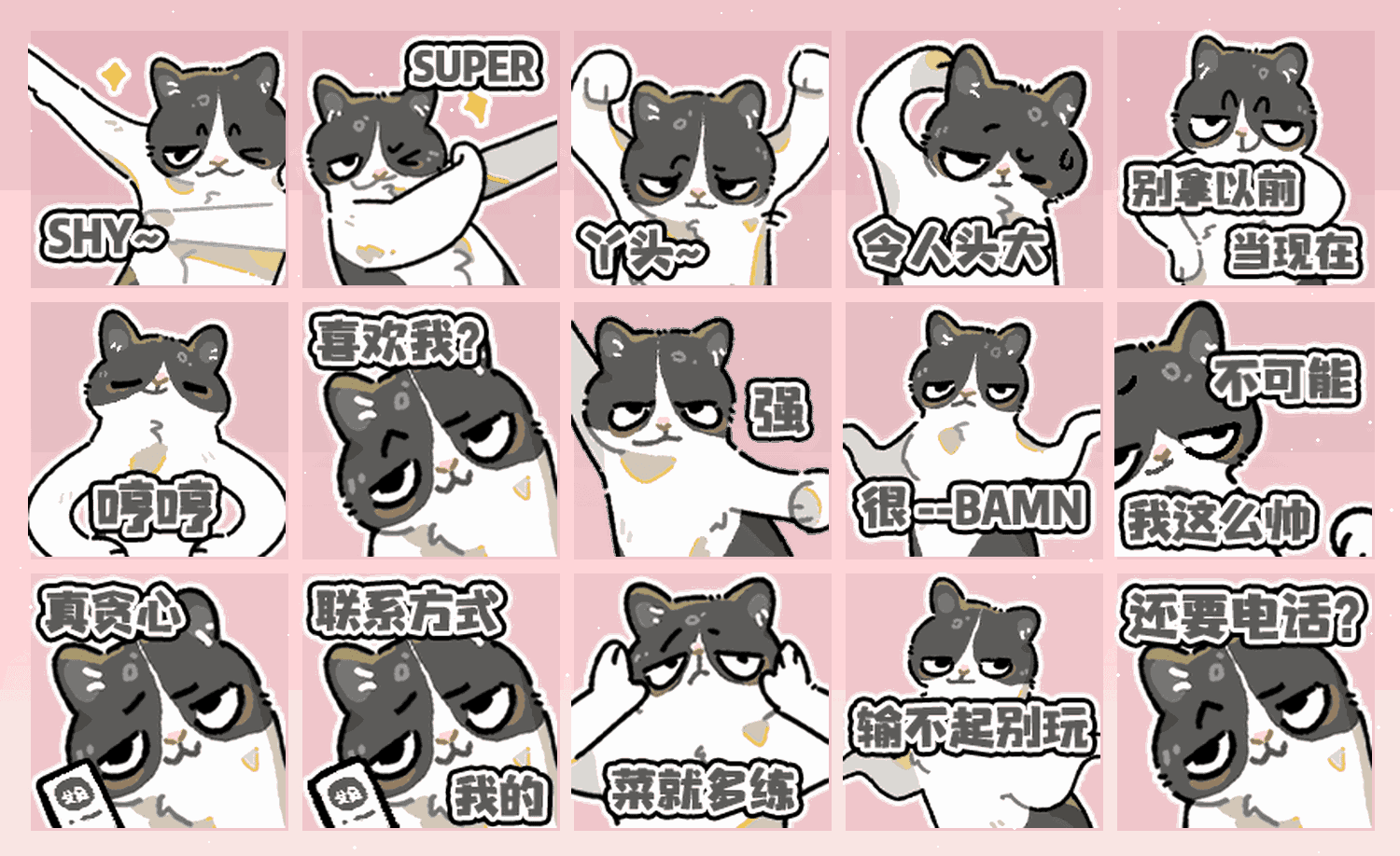 跳舞meme奶牛猫 表情包预览