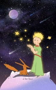 《小王子美好期愿》表情包&高清壁纸，支持导入微信和QQ作为表情包-表情包小岛