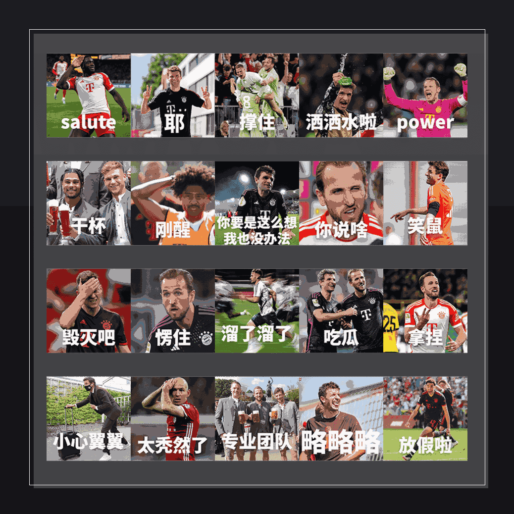 拜仁慕尼黑——征途再启  表情包预览