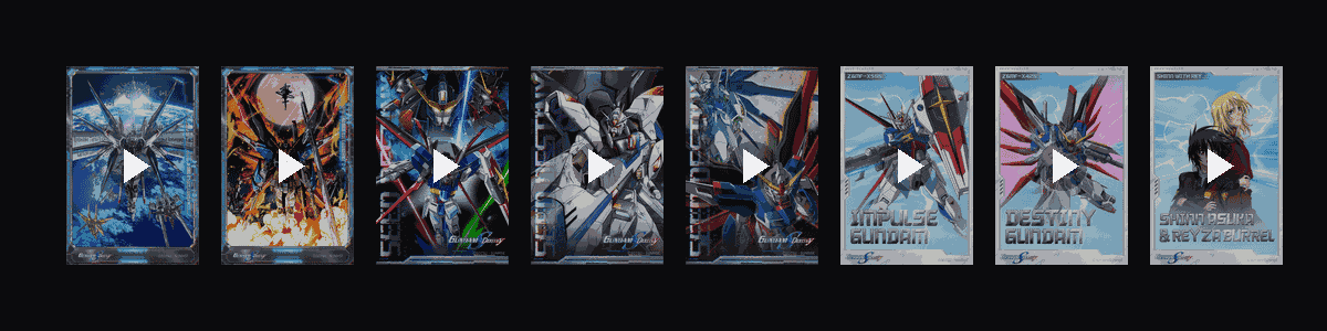 SEED DESTINY  动态壁纸预览