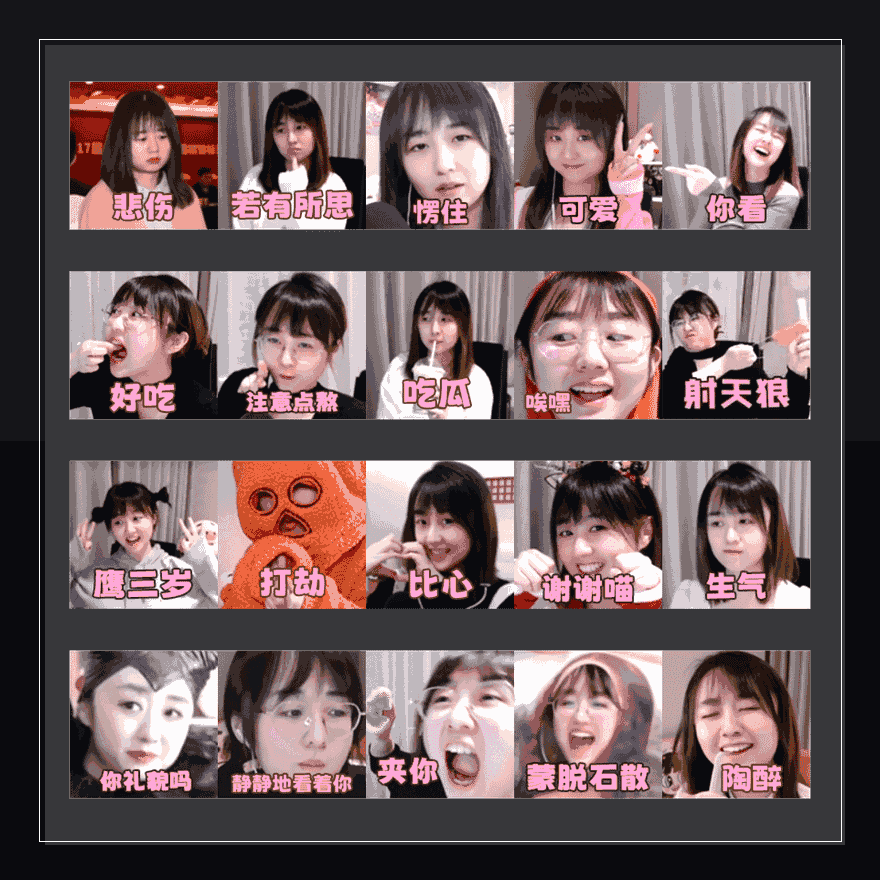 鹰之魅影 表情包预览