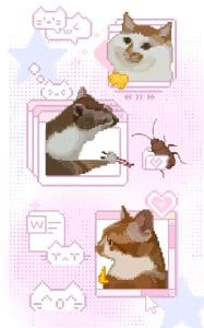 《讨坏型猫格》表情包&高清壁纸，支持导入微信和QQ作为表情包-表情包小岛