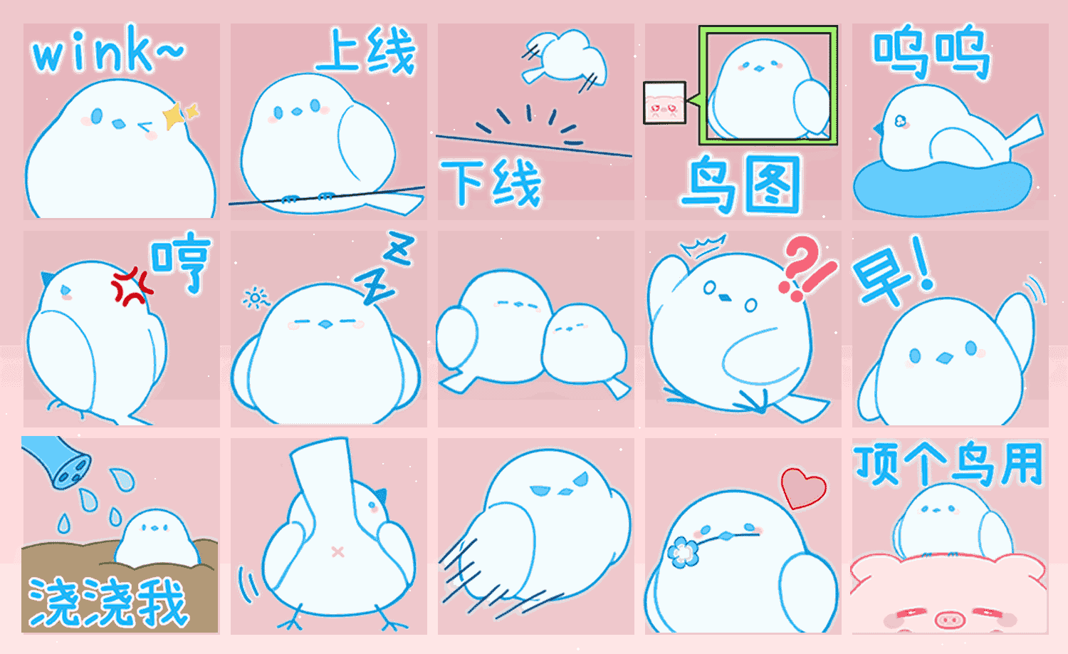天蓝瓶瓶雀 表情包预览