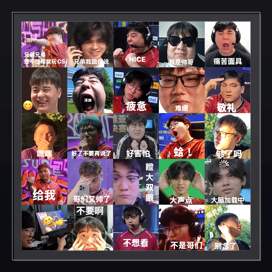 TYLOO天禄 表情包预览