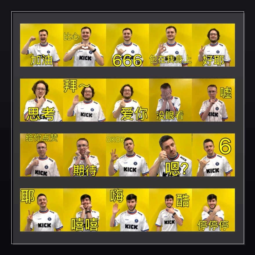 VIT2025独家系列 表情包预览